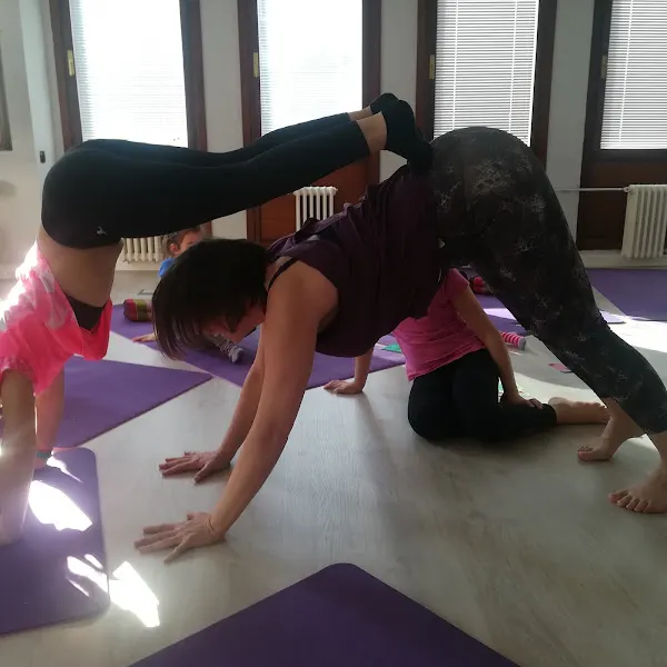 Shama Yoga Estudio - Centro de yoga en Vitoria-Gasteiz - foto 2