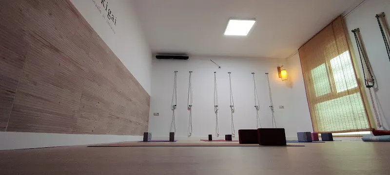 Ikigai - Centro de yoga en Hellín - foto 2