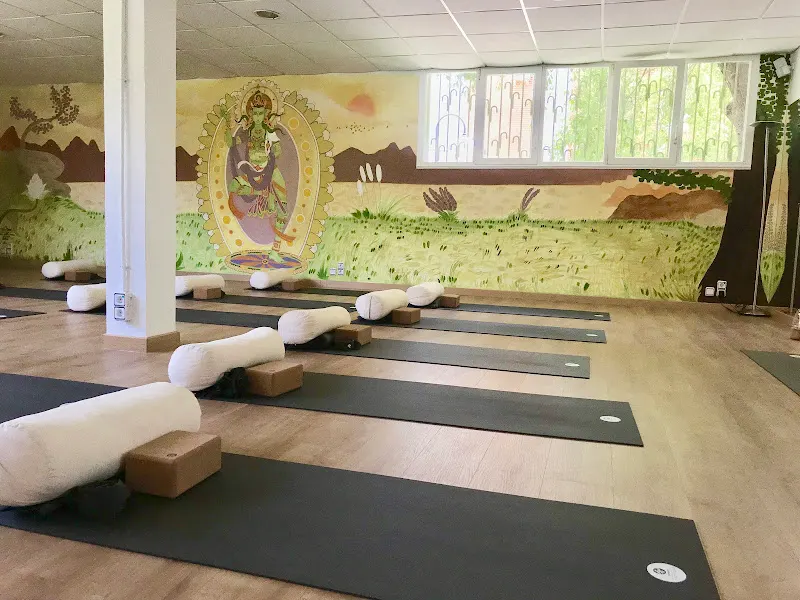 Vitality Pilates & Yoga