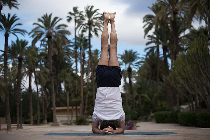 YogaElx. Yoga Elche Alicante. Centro de Yoga Iyengar - Centro de yoga en Elche - foto 2