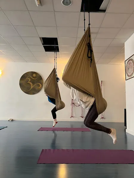 Mandira Yoga Petrer - Centro de yoga en Petrer - foto 2