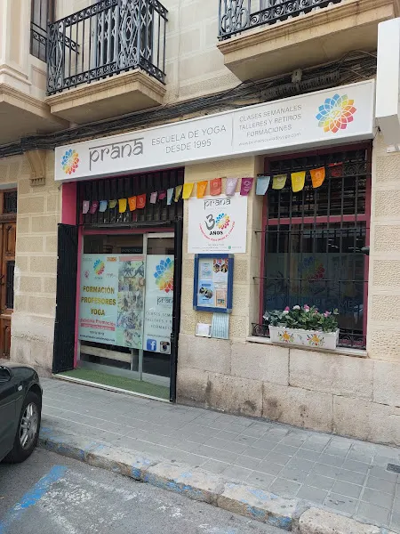 Prana Escuela de Yoga - Centro de yoga en Alicante - foto 3