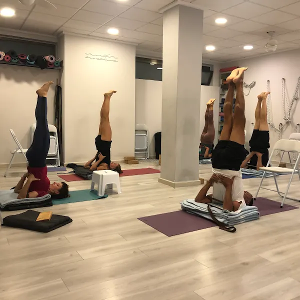 Mar en calma Iyengar yoga - Centro de yoga en Campello - foto 2
