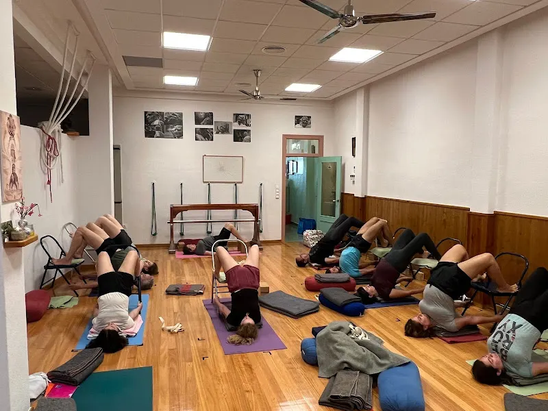 Estudio de Yoga Iyengar Trimurti Novelda Vinalopó - Centro de yoga en Novelda - foto 2