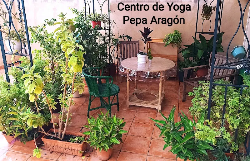 Centro de Yoga Pepa Aragón - Centro de yoga en San Juan de Alicante - foto 2