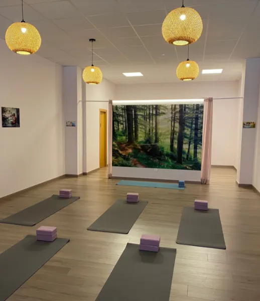Arbre i Arrel - Centro de yoga en Petrer - foto 2