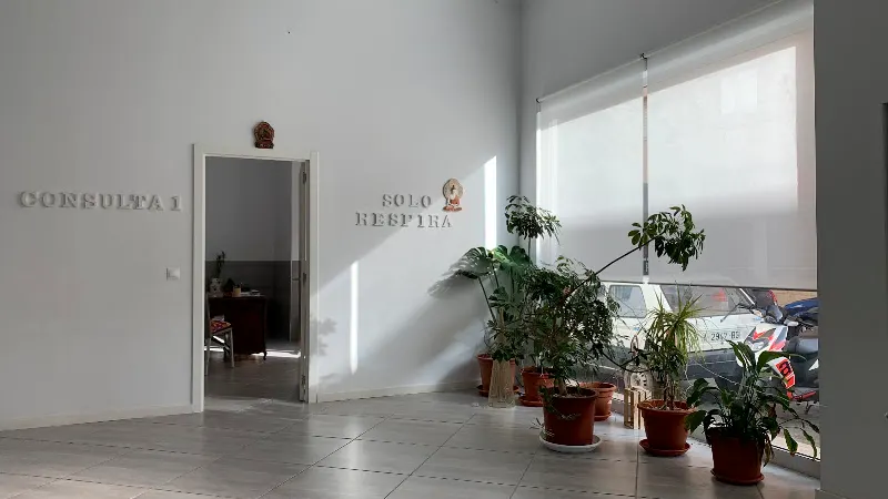 Mateo Salud y Bienestar | Terapeuta Sistémico Transpersonal, Constelaciones familiares, Mindfulness, Yoga terapéutico. - Denia