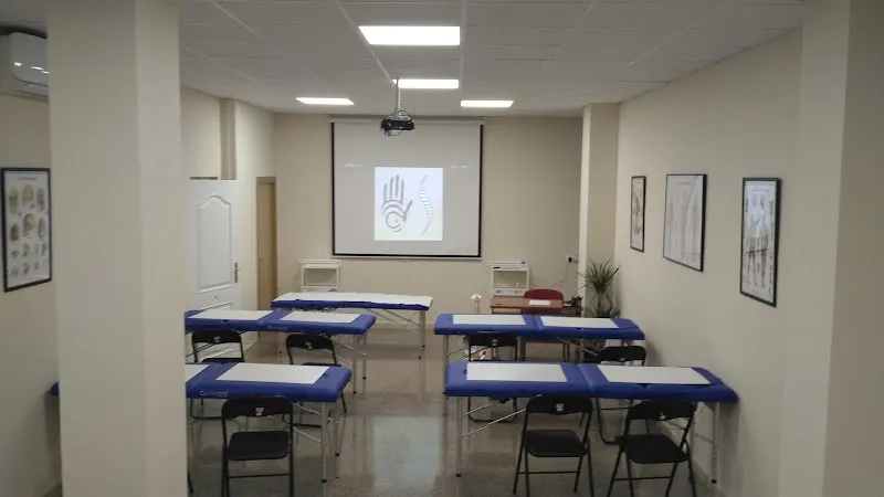 OsteoSilva - Escuela de Quiromasaje y Terapias Naturales. - Centro de formación en Novelda - foto 2