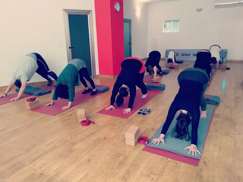 El Árbol del Yoga - Lena