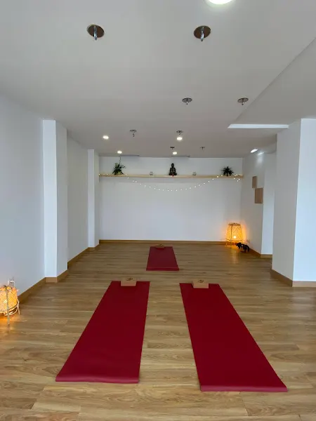 Slowmind yoga - Navia
