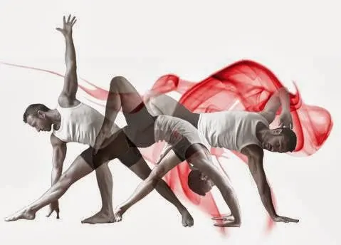 Yoga Orgánico