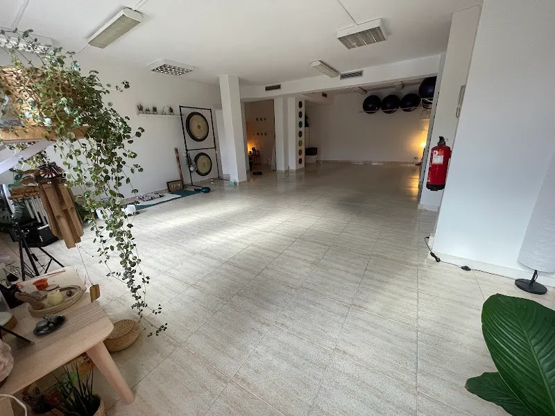 Escuela Raíz de vida. Yoga. Sabiduría, Salud y Sexualidad femenina - Pinto