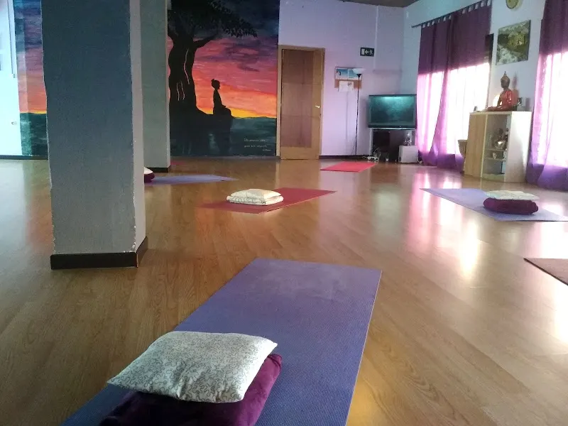 Centro Bravo de Salud Integral - Psicólogo en Madrid - foto 2