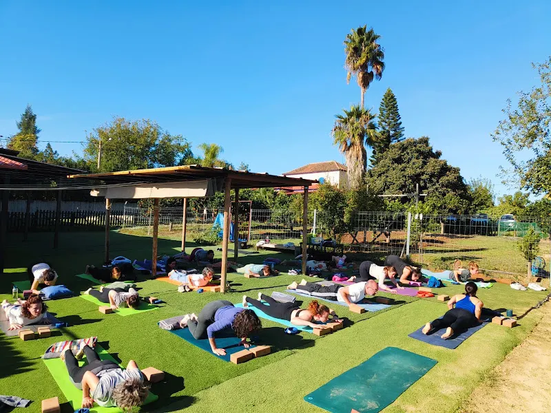 Mukha Yoga - Centro de yoga en Sevilla - foto 2