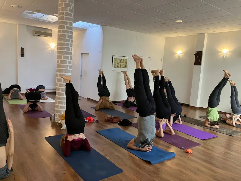 PrácticaMente Yoga - Centro de yoga en Olesa de Montserrat - foto 2