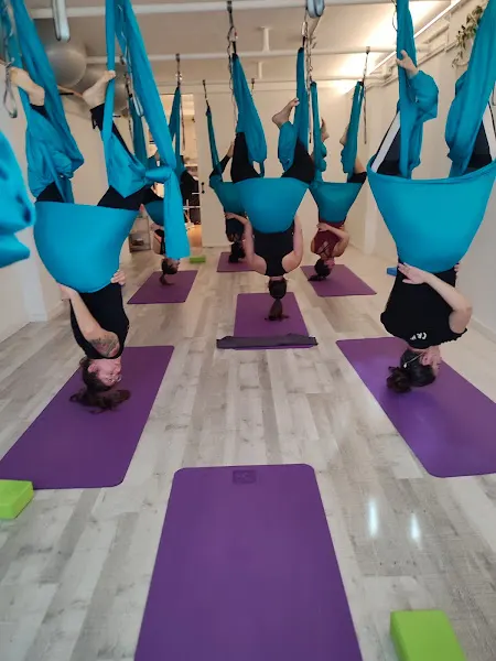 Espai Biosfera - Centro de salud y bienestar en Martorell - foto 2