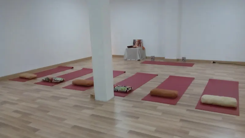 SADHANA Yoga Shri Vivek & Massatge Ayurveda - Centro de yoga en Mataró - foto 2