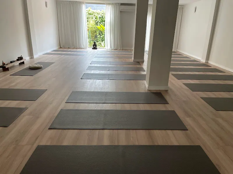 rayma yoga - Centro De Yoga - Hatha Yoga - Centros De Yoga