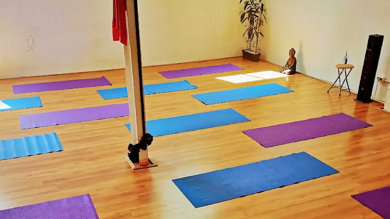 Yoga Ollan Academy In-liNe - Centro de Yoga En Línea - Centro de yoga en Barcelona - foto 2