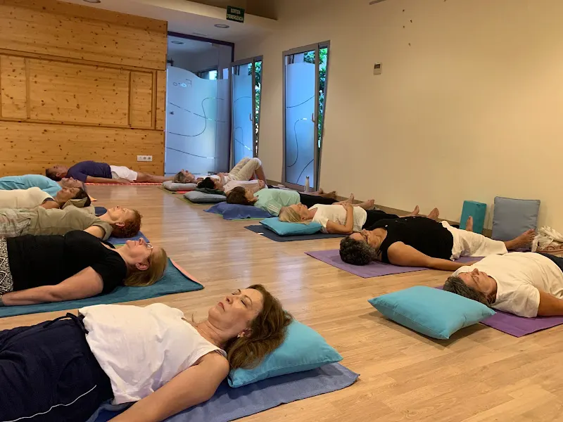 Danaioga - Centro de yoga en Granollers - foto 2
