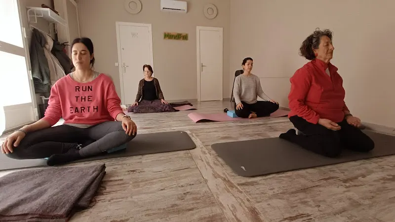 MindFul BDN - Badalona