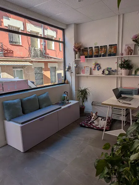 Morada - Estudio de yoga y expresiones corporales