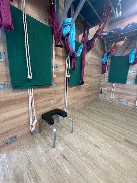 El Árbol del Yoga (Método Iyengar)