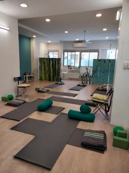 Hamsa Centro de Yoga y Mindfulness - Centro de yoga en Madrid - foto 2