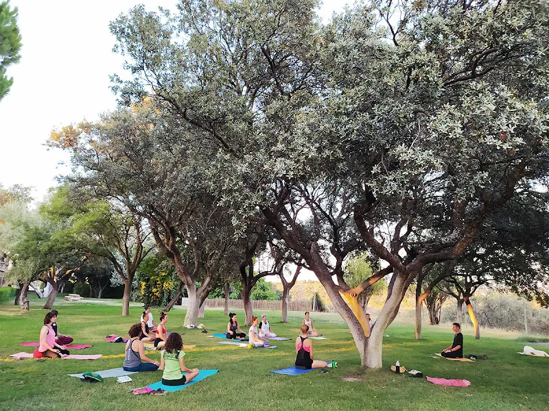Sangha Yoga en Torrejón de Ardoz