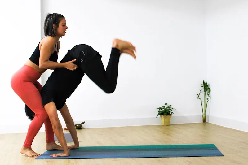 Ginkgo - Escuela de yoga Ubrique en Ubrique