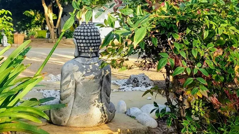 LAXMI YOGA SHALA - Centro de yoga en Chipiona - foto 2
