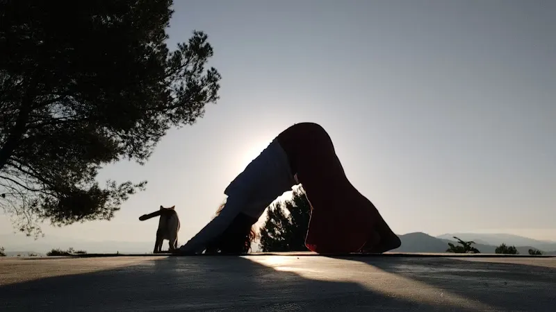 Centro actividades Yoga y Gong Sat Nam Ji - Centro de yoga en Oropesa del Mar - foto 2