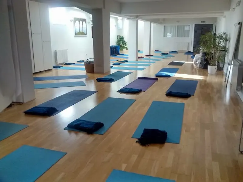 Fundación El Arte de Vivir en Madrid