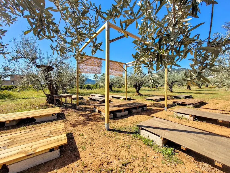 Espai Les Oliveres - Centro de yoga en Sagunto - foto 2