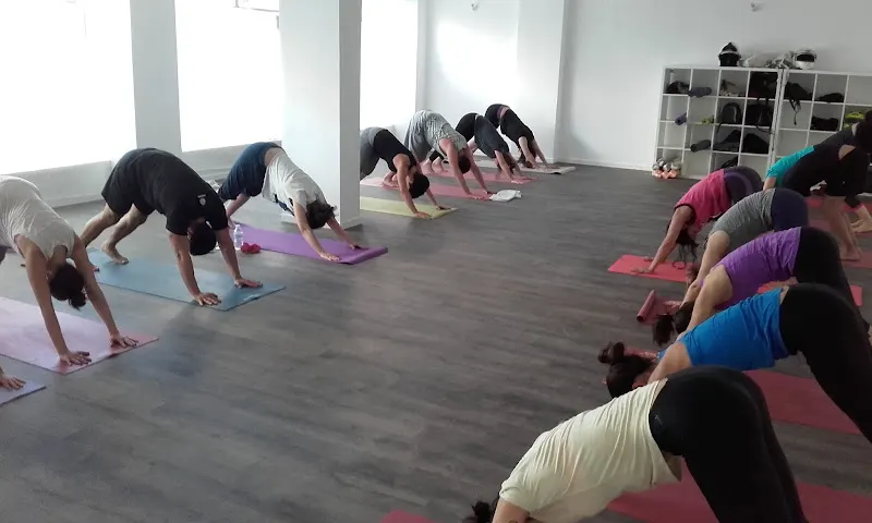 Yogaldía