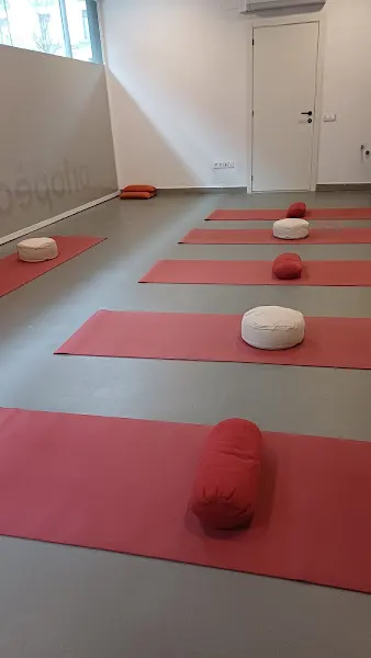 Elioga - Yoga para todos - Centro de yoga en Torroella de Montgrí - foto 2