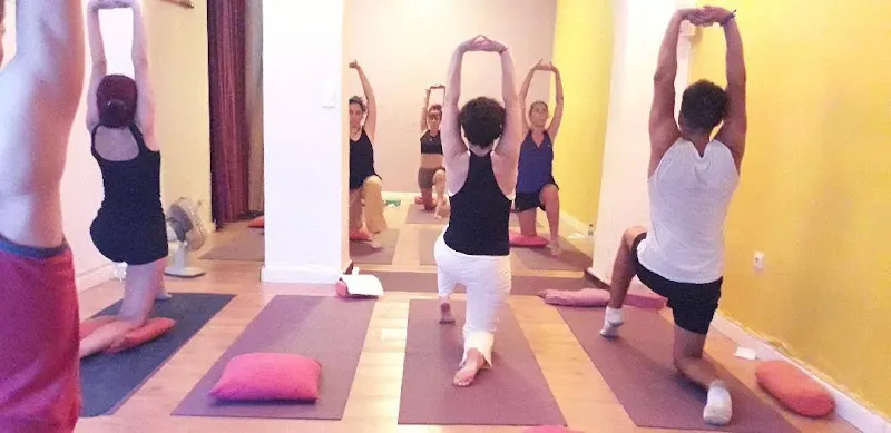 La Tortuga Feliz - Centro de yoga en Madrid - foto 2