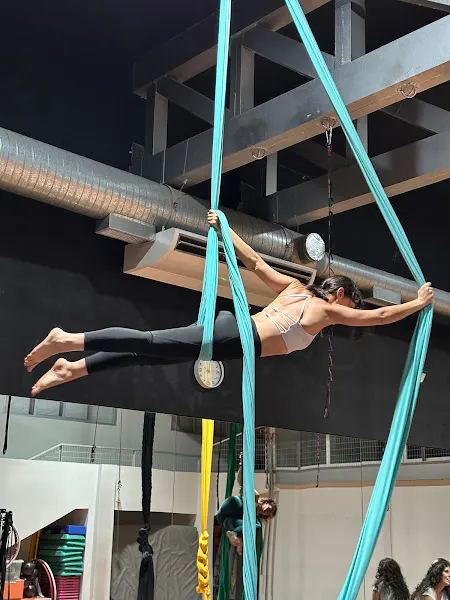 Academia Queens Pole Dance Sports Y Aereal Sport en Guadalajara