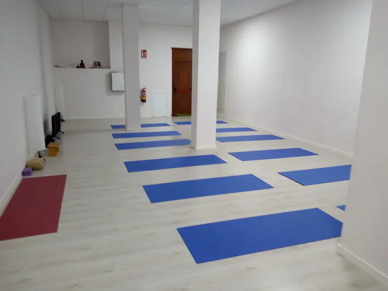 Centro de Yoga, Meditación y Mindfulness en Alcalá de Henares | Eduardo Solarte