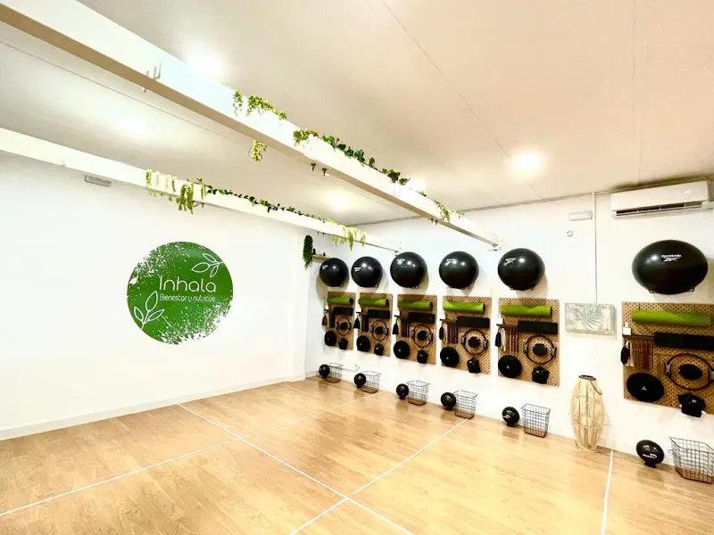 INHALA BIENESTAR - CLINICA FISIOTERAPIA, NUTRICIÓN Y PSICOLOGÍA - Clínica de fisioterapia en Alcalá de Henares - foto 2