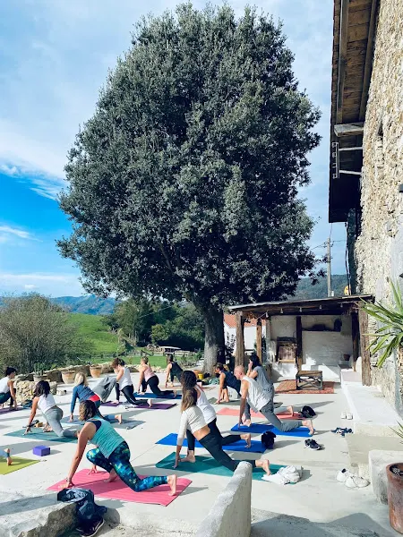 Retirosdharma - Centro de retiro de yoga en Tolosa - foto 2