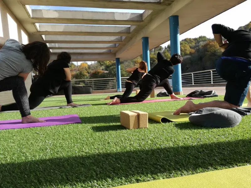 Parashakti Yoga Eskola Donostia