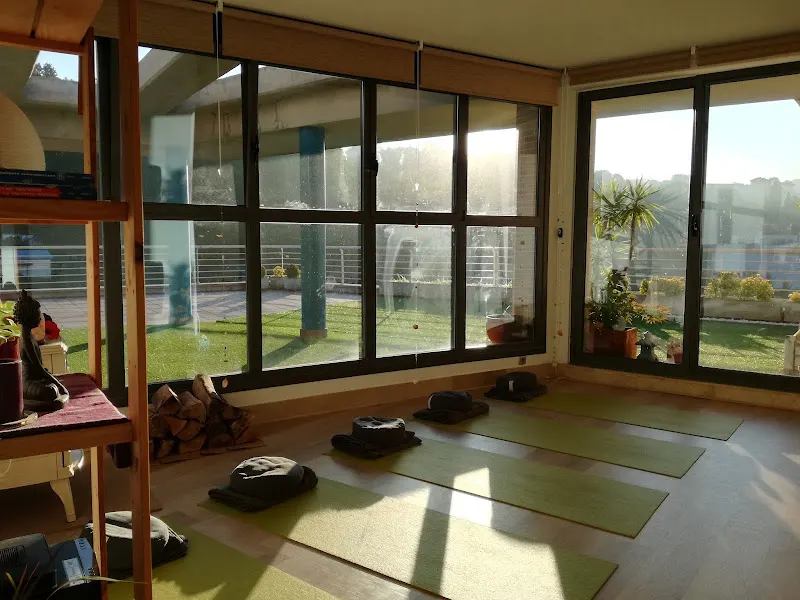 Parashakti Yoga Eskola Donostia - Centro de yoga en Donostia-San Sebastian - foto 2