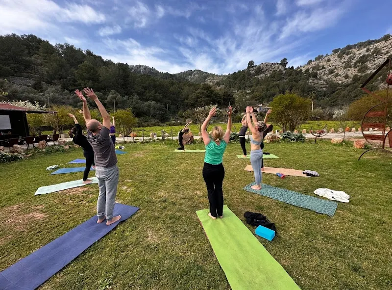 Natur Yoga Studio - Centro de yoga en Sóller - foto 2