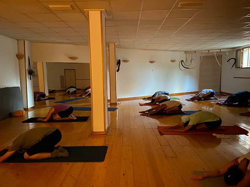 Narada Yoga & Ayurveda - Centro de yoga en Palma - foto 2