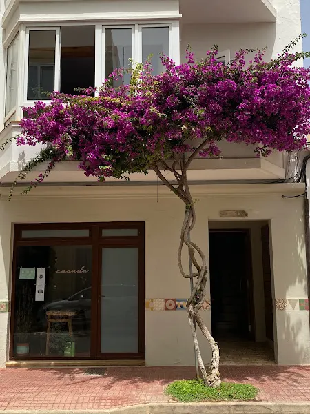 Ananda Menorca - Centro de yoga en Ciutadella de Menorca - foto 2