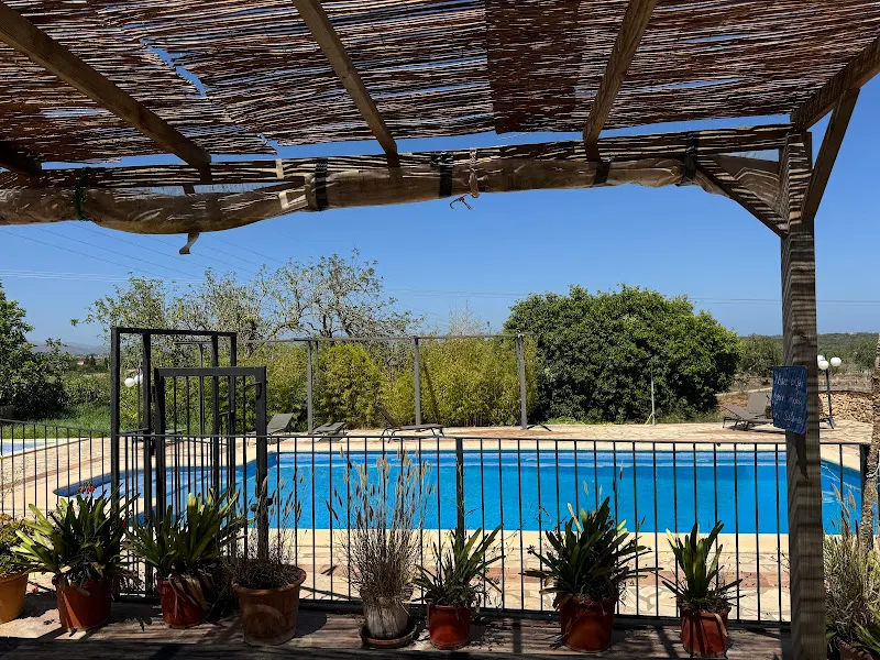 Green Yoga International/yoga teacher training school - Manacor