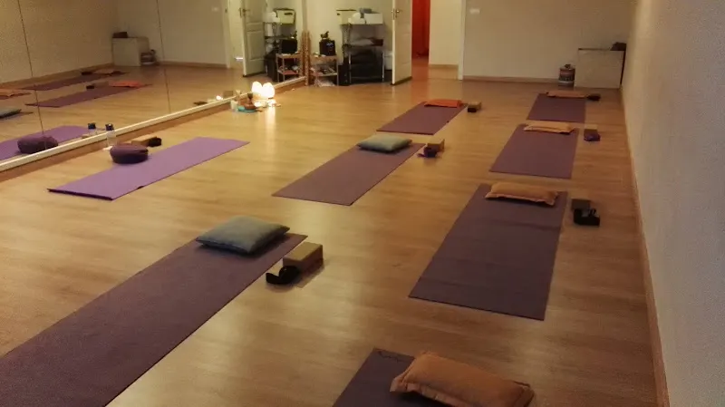 Centro de Yoga Anapranayoga