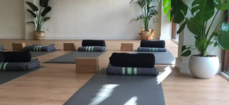 El Árbol Centro de Yoga Las Palmas - Las Palmas de Gran Canaria