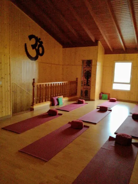 Satchidananda Yoga